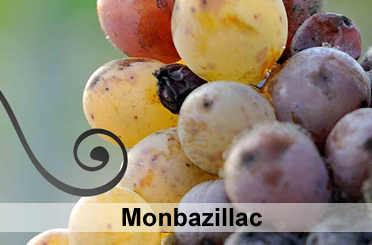 monbazillac